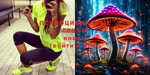 хмурый Абинск