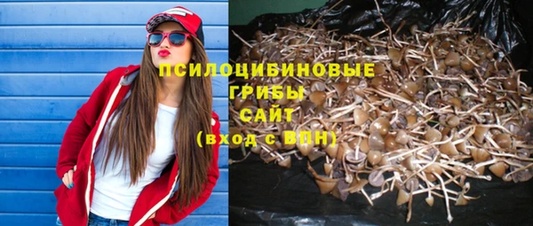 твердый Абаза