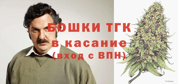 эйфоретик Няндома