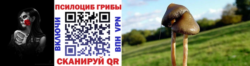Галлюциногенные грибы мицелий  hydra ссылка  Калач 